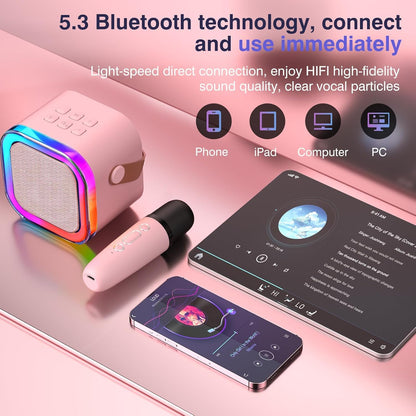 2  pcs mic with speaker